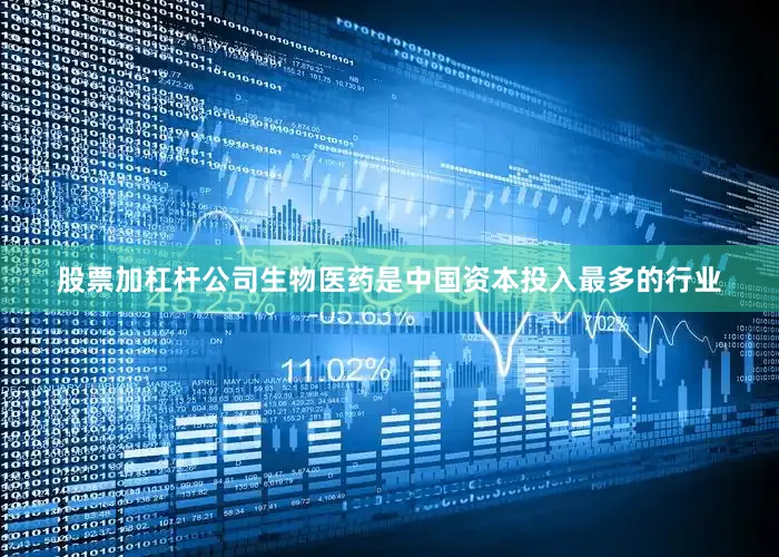 股票加杠杆公司生物医药是中国资本投入最多的行业