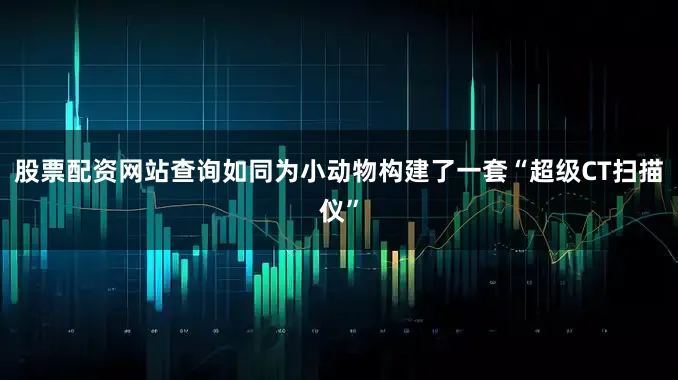 股票配资网站查询如同为小动物构建了一套“超级CT扫描仪”