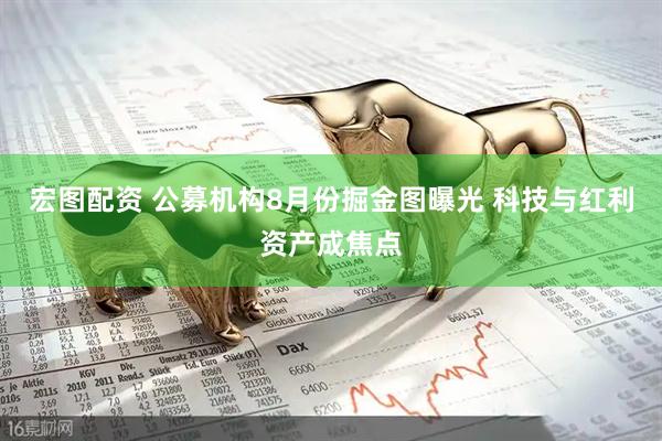 宏图配资 公募机构8月份掘金图曝光 科技与红利资产成焦点
