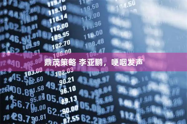 鼎茂策略 李亚鹏，哽咽发声