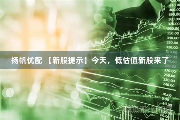 扬帆优配 【新股提示】今天,低估值新股来了